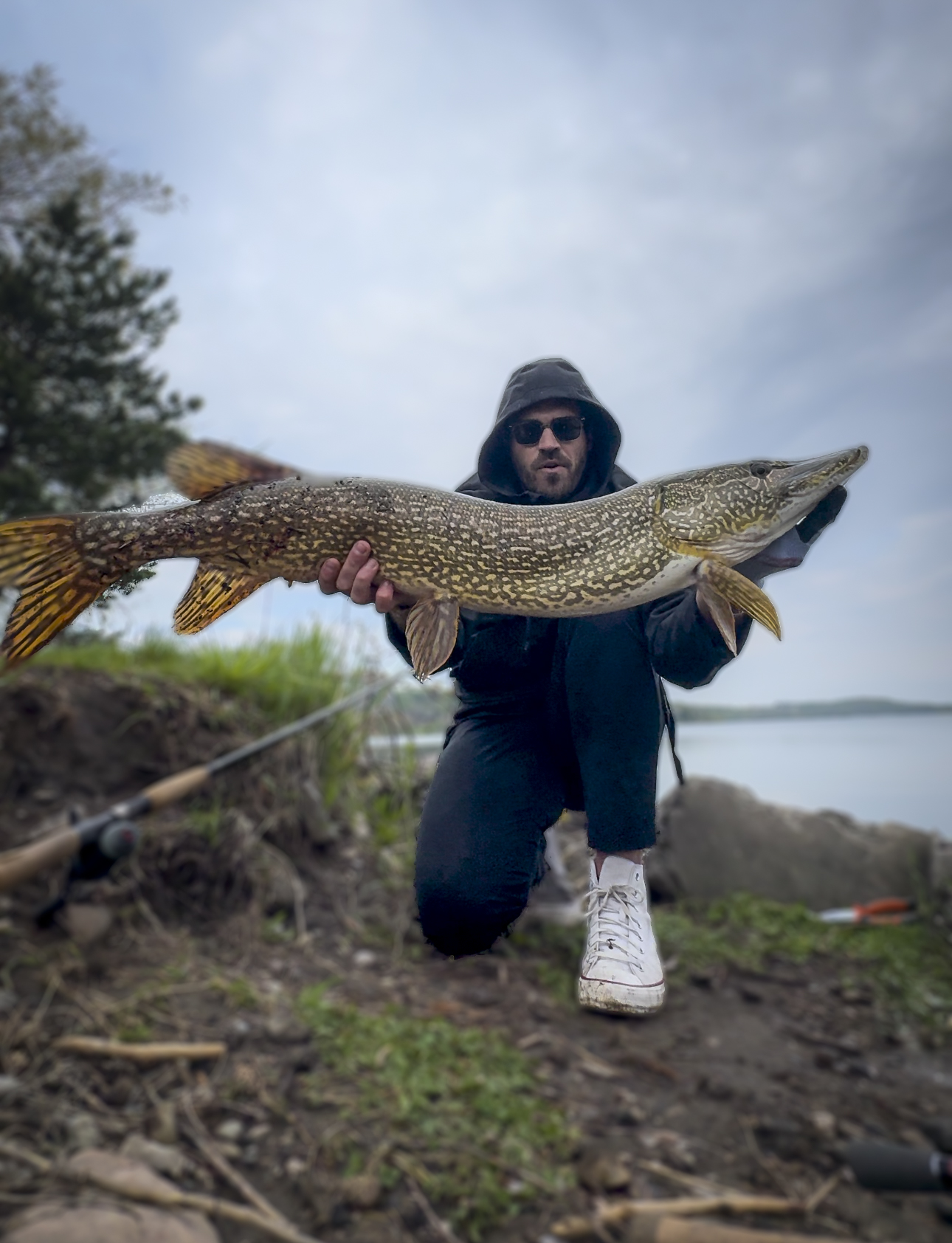 TJ LeClair holding a large northern pike on shore