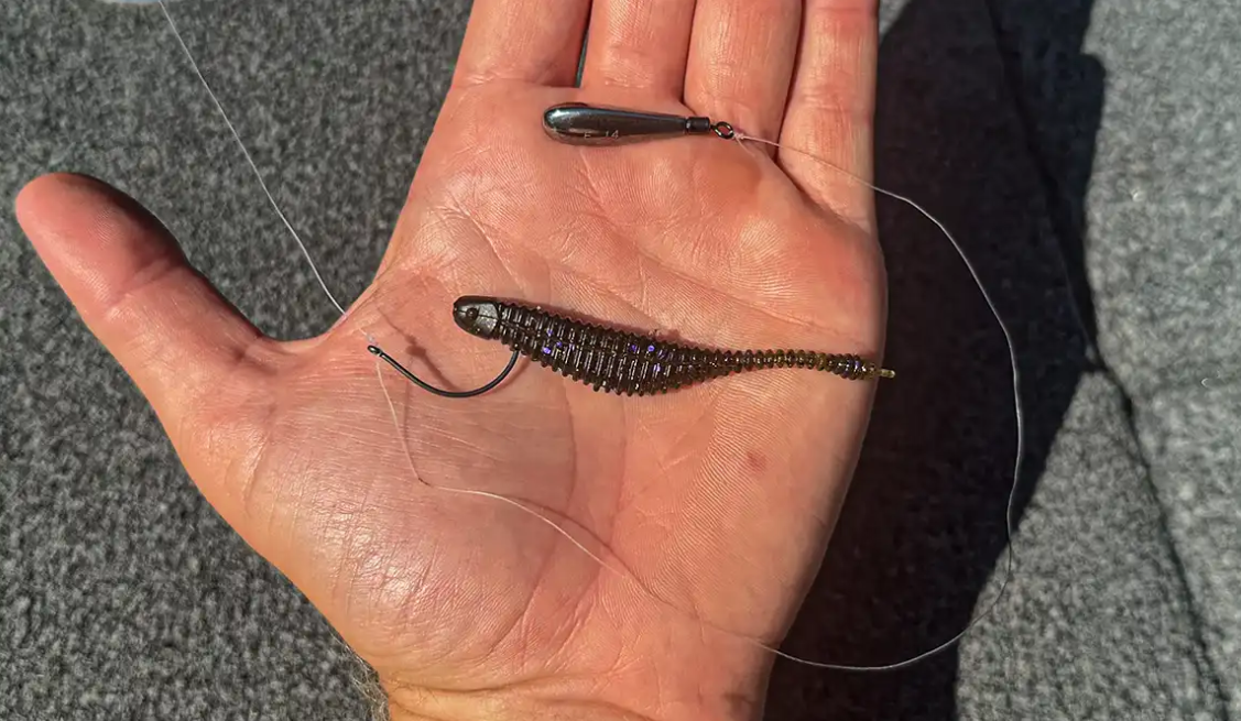 Two small soft-plastic baits rigged on light drop shot hooks